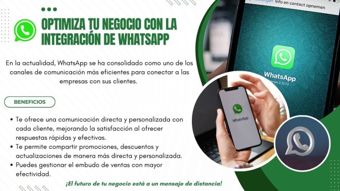 WhatsApp API pata tu negocio