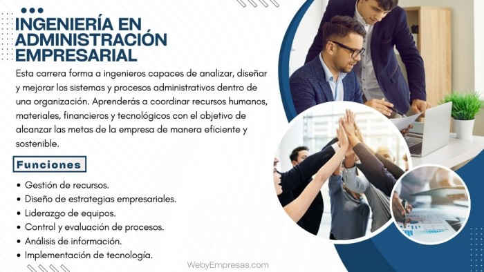 Ingeniería en Administración Empresarial