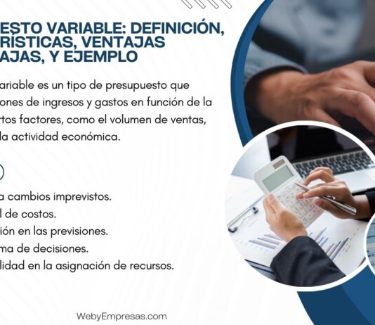 Presupuesto Variable: Definición, Características, Ventajas Desventajas, y Ejemplo presupuesto variable