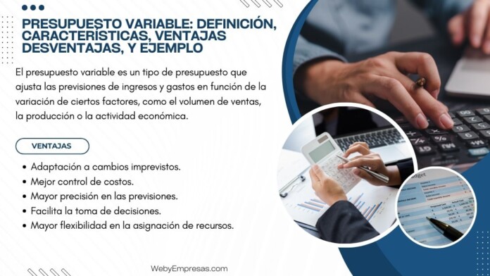 presupuesto variable