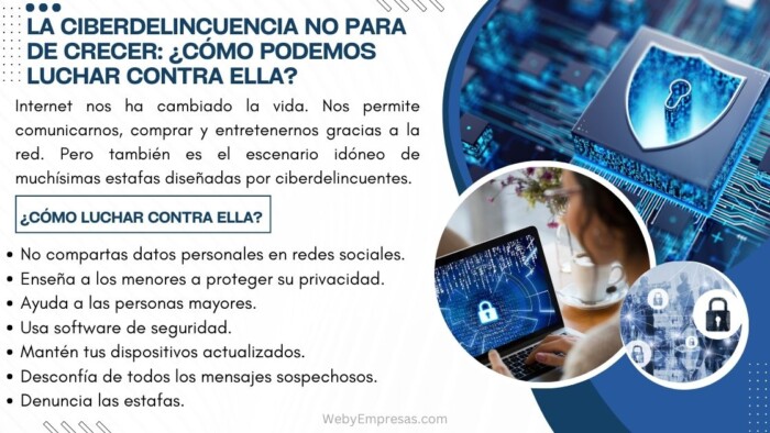La ciberdelincuencia no para de crecer ¿cómo podemos luchar contra ella