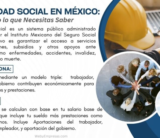 Seguridad Social en México: Todo lo que Necesitas Saber Seguridad Social en México