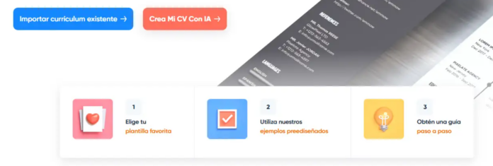 crear Curriculum con Ejemplos Curriculum