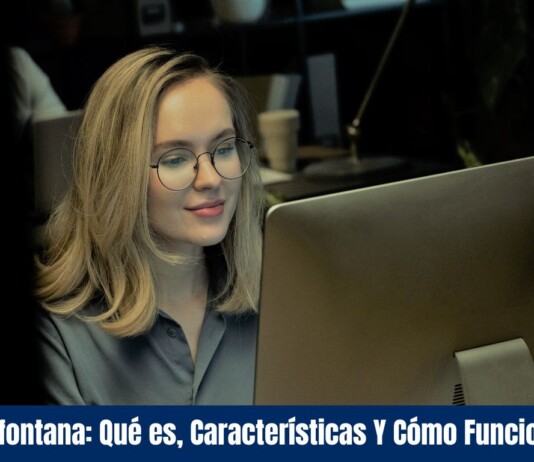 Defontana: Qué es, Características Y Cómo Funciona Defontana Qué es, Características Y Cómo Funciona