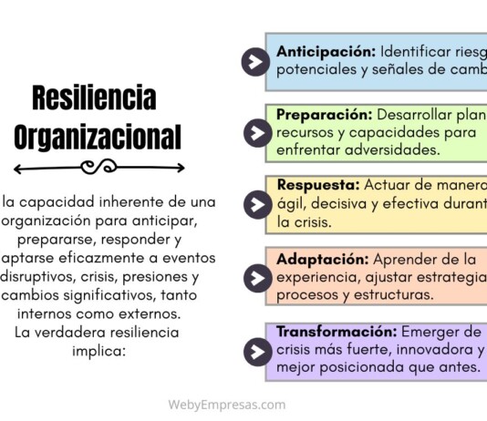 Resiliencia Organizacional: Qué es, Cómo Finciona y Ejemplos Resiliencia Organizacional
