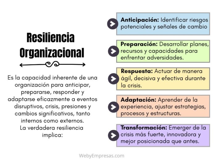 Resiliencia Organizacional