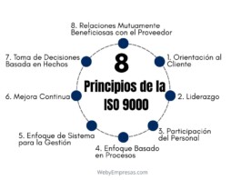Los 8 Principios de la ISO 9000: Los Pilares de la Excelencia en la Gestión de la Calidad Los 8 Principios de la ISO 9000