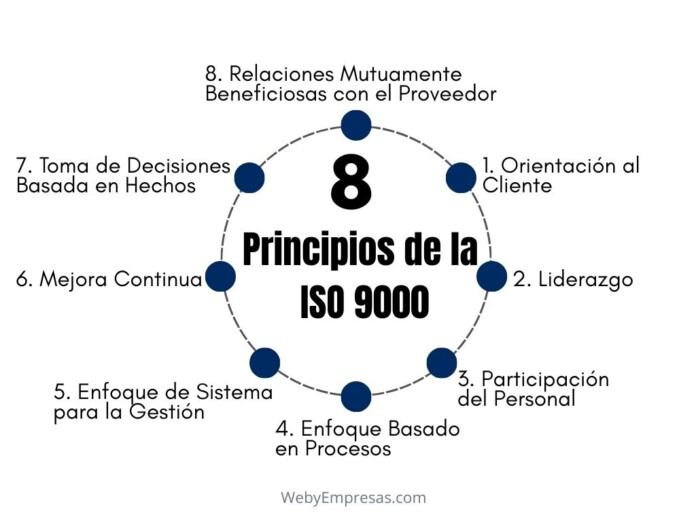 Los 8 Principios de la ISO 9000: Los Pilares de la Excelencia en la ...