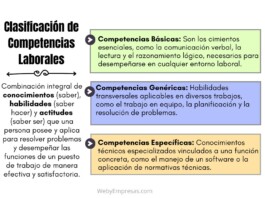 Clasificación de Competencias Laborales: La Clave para un Desempeño Exitoso