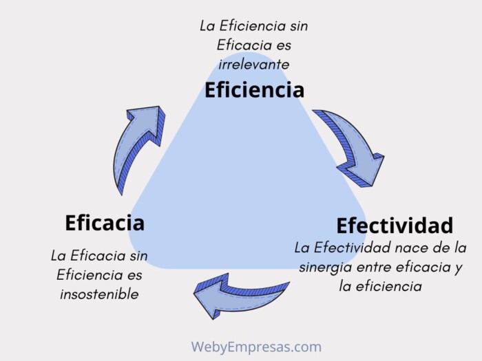Eficiencia, Eficacia y Efectividad: La Tríada del Desempeño Óptimo