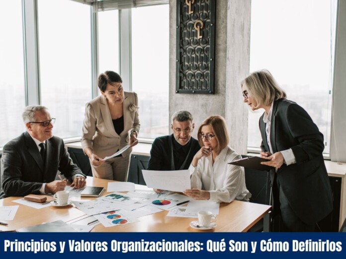 Principios y Valores Organizacionales Qué Son y Cómo Definirlos