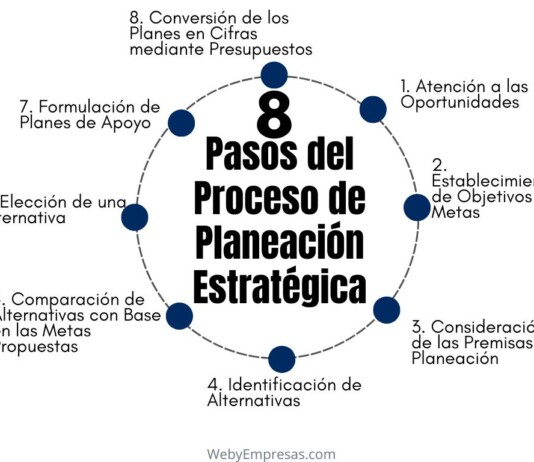 Los 8 Pasos del Proceso de Planeación Estratégica Pasos del Proceso de Planeación Estratégica
