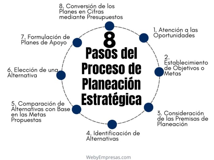 Pasos del Proceso de Planeación Estratégica Pasos del Proceso de Planeación Estratégica
