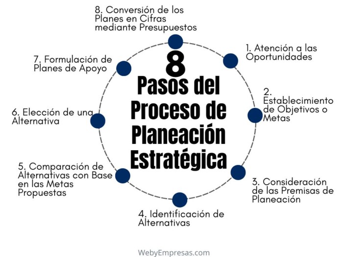 Pasos del Proceso de Planeación Estratégica