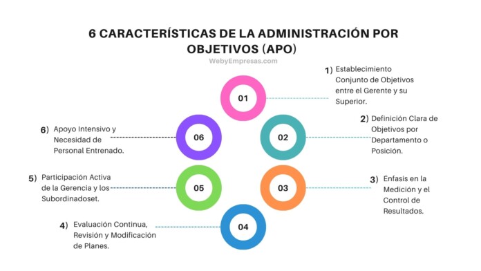 Características de la Administración por Objetivos (APO) Características de la Administración por Objetivos (APO)