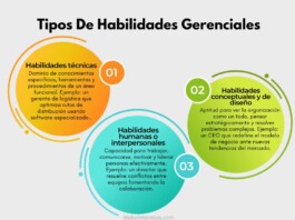 Tipos De Habilidades Gerenciales: La Tríada Esencial Del Liderazgo Efectivo Tipos De Habilidades Gerenciales