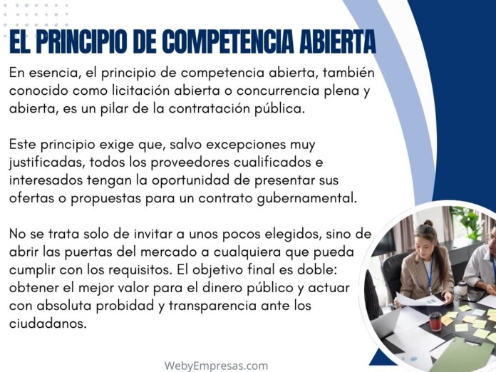El Principio de Competencia Abierta