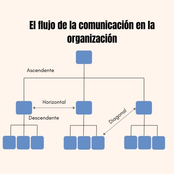 El flujo de la comunicación en la organización