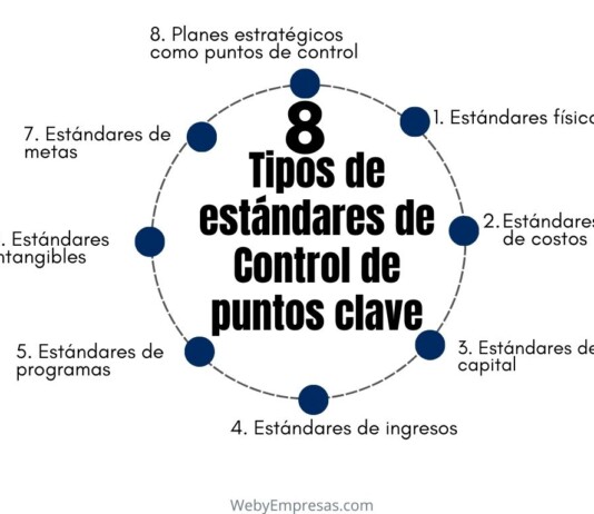 8 Tipos de estándares de Control de puntos clave Tipos de estándares de Control de puntos clave
