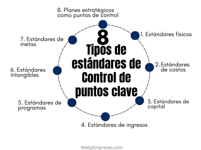 Tipos de estándares de Control de puntos clave
