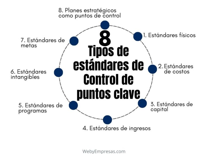 Tipos de estándares de Control de puntos clave