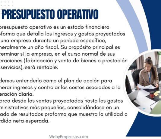 Presupuesto Operativo: Qué es, Características, ejemplo Presupuesto Operativo