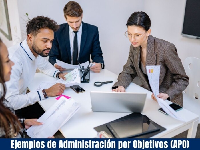 Ejemplos de Administración por Objetivos (APO)
