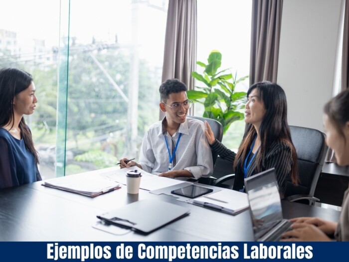 Ejemplos de Competencias Laborales