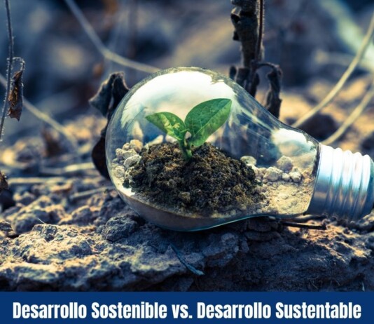 Desarrollo Sostenible vs. Desarrollo Sustentable Desarrollo Sostenible vs. Desarrollo Sustentable