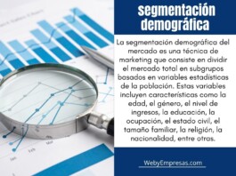 8 Ejemplos de segmentación demográfica del mercado Ejemplos de segmentación demográfica del mercado