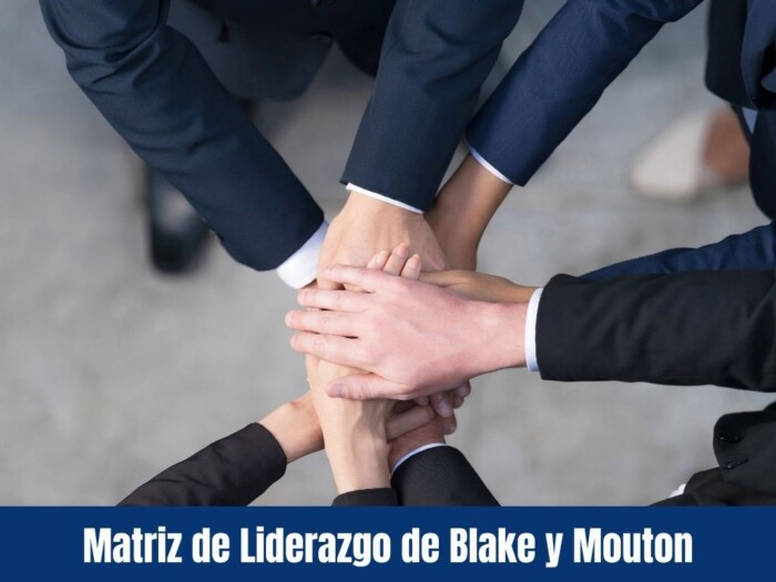 Matriz de Liderazgo de Blake y Mouton