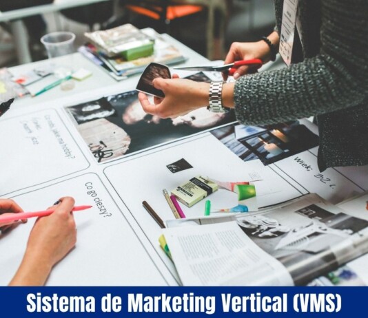 Sistema de Marketing Vertical (VMS) Sistema de Marketing Vertical (VMS)
