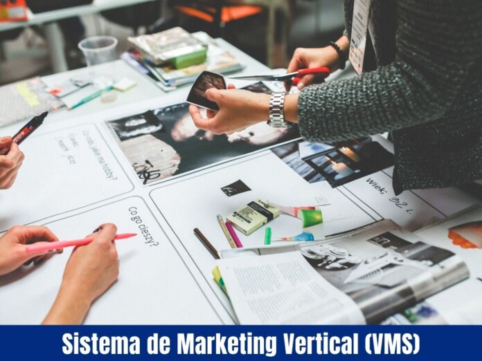 Sistema de Marketing Vertical (VMS) Sistema de Marketing Vertical (VMS)