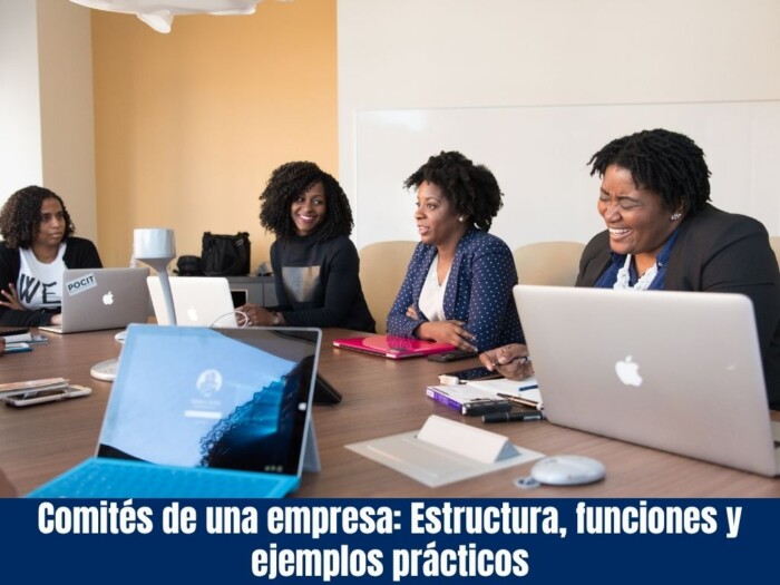 Comités de una empresa Estructura, funciones y ejemplos prácticos