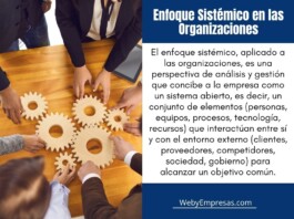 10 Ejemplos del Enfoque Sistémico en las Organizaciones Ejemplos del Enfoque Sistémico en las Organizaciones