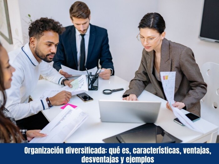 Organización diversificada: qué es, características, ventajas, desventajas y ejemplos
